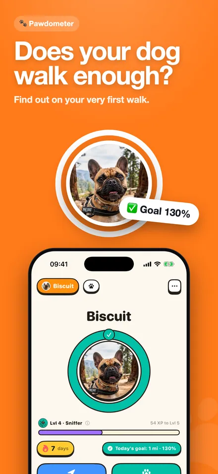 Does your dog walk enough? Find out on the first walk.
