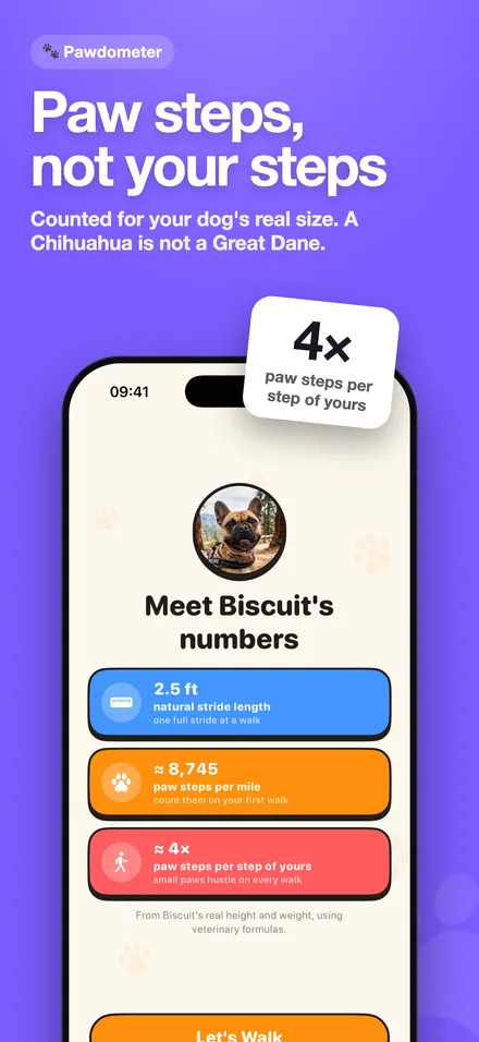 Paw steps, not your steps: counted for your dog's real size.