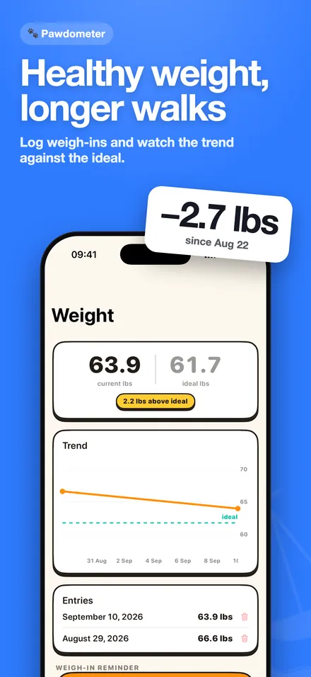 Healthy weight, longer walks: the trend against the ideal.